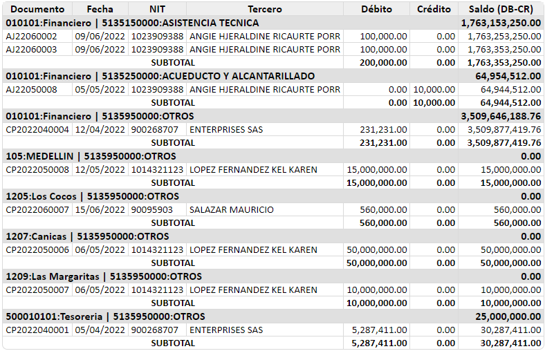 auxiliar-detallado-por-centro-de-costos6.1