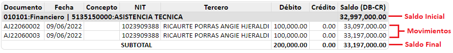 auxiliar-detallado-por-centro-de-costos7.1