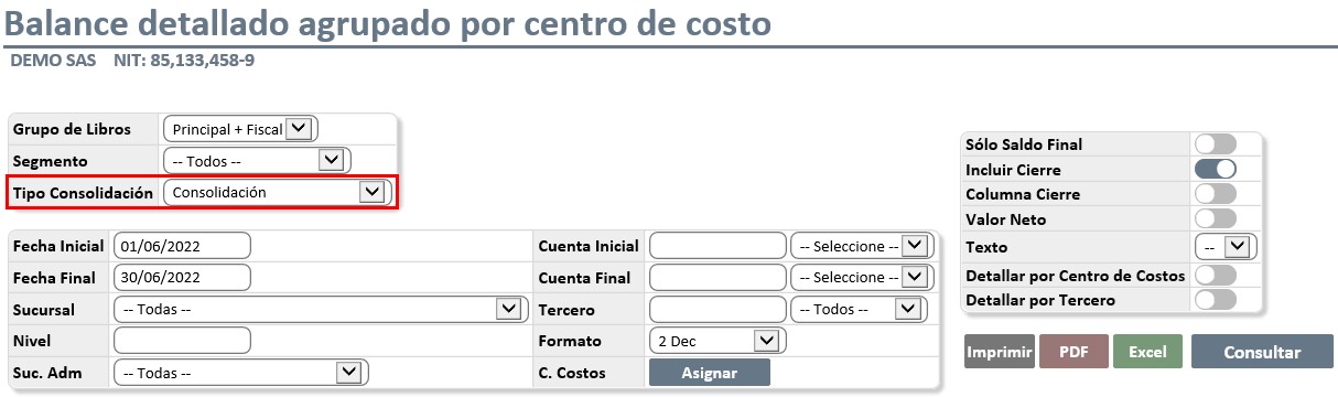 balance-detallado-agrupado-por-centro-de costo4