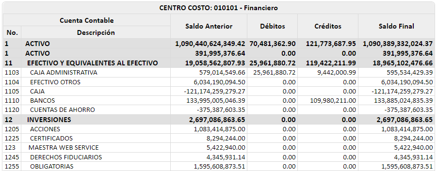 balance-por-centros-de-costo4