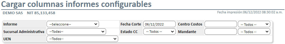 cargar-columnas-informes-configurables1