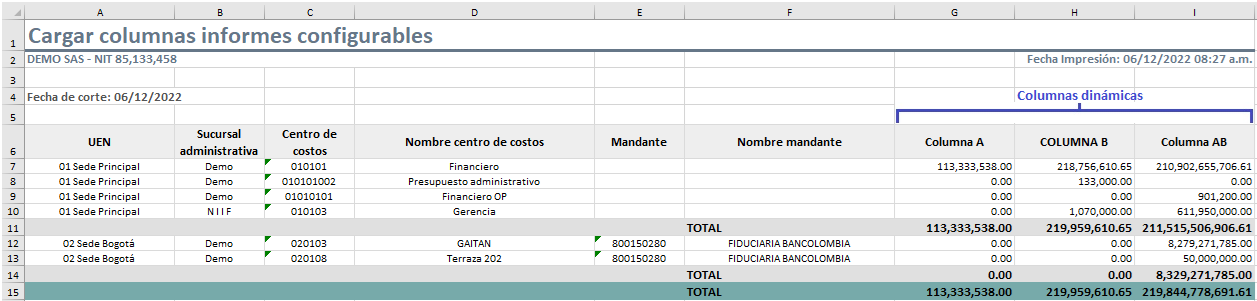 cargar-columnas-informes-configurables5