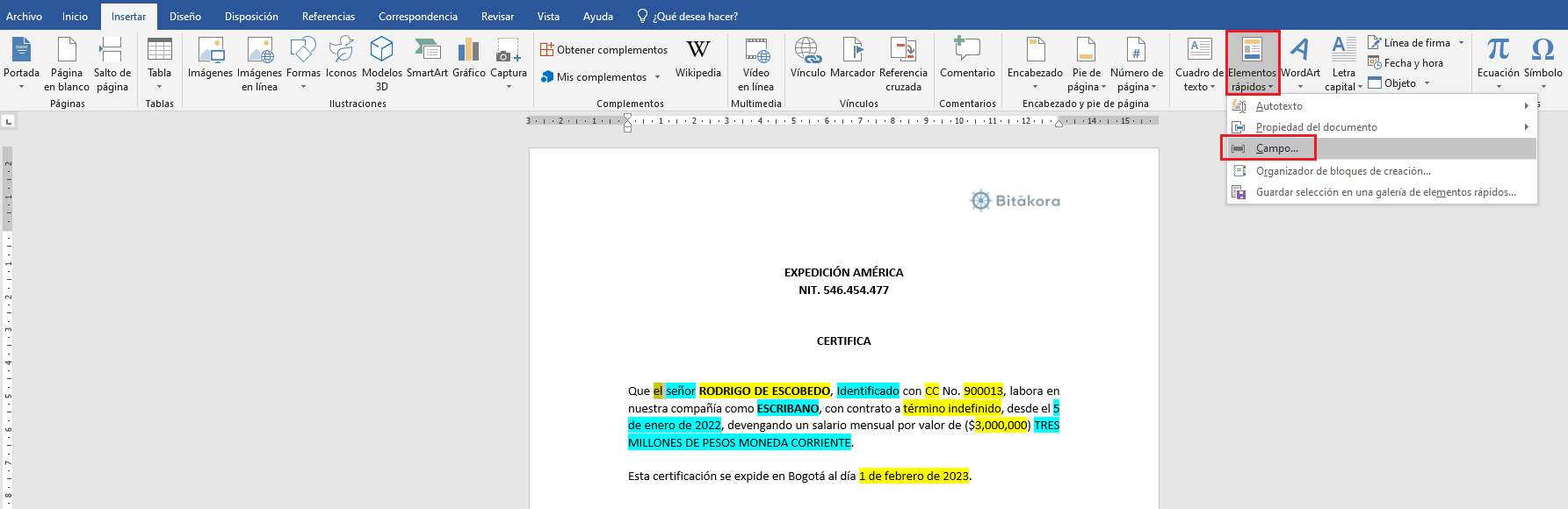 Insertar elemento en Word