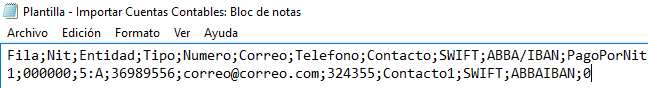 importar-cuentas-bancarias-desde-archivo-plano3