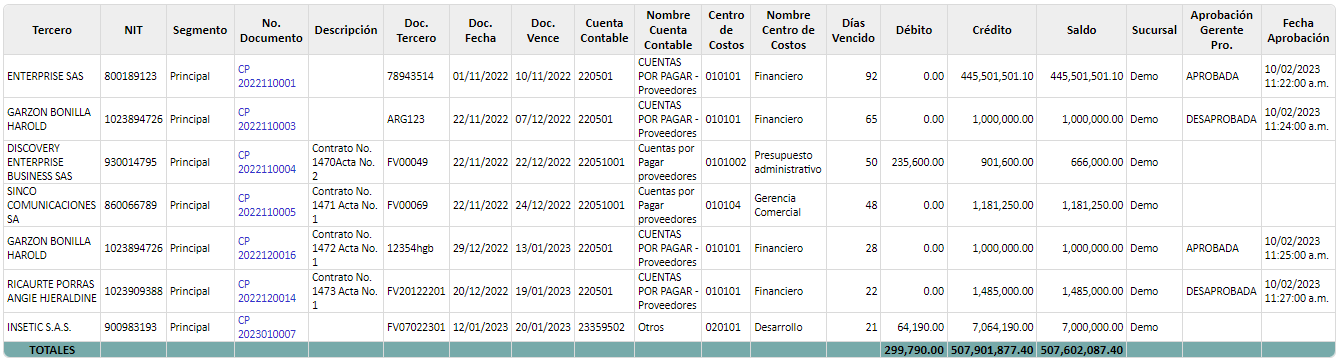 informe-de-cuentas-por-pagar-6