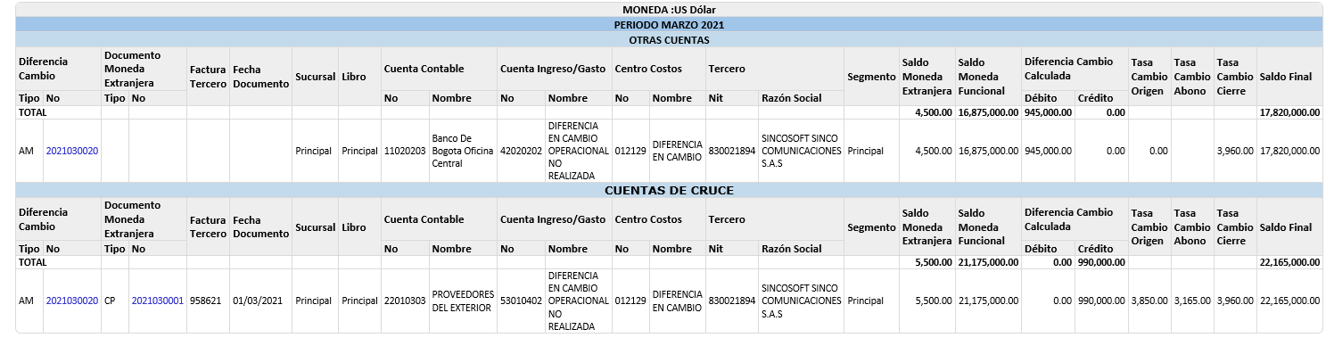 informe-de-diferencia-en-cambio2