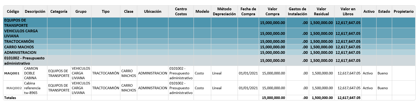 resumen-de-activos-fijos 4