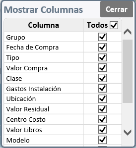 resumen-de-activos-fijos 5