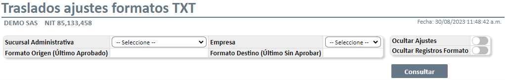 traslados-ajustes-formatos-txt1