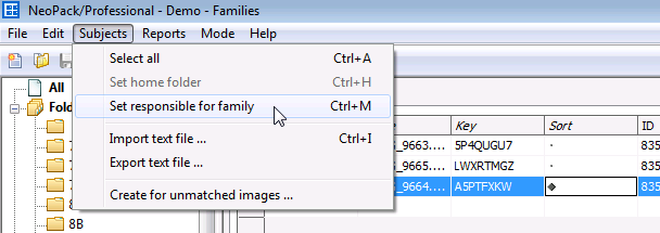 Setting the responsible subject for a family