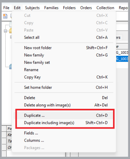 Menu options showing duplication commands for files and images in software interface.