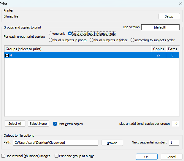 Print settings window showing options for groups and copies to print.