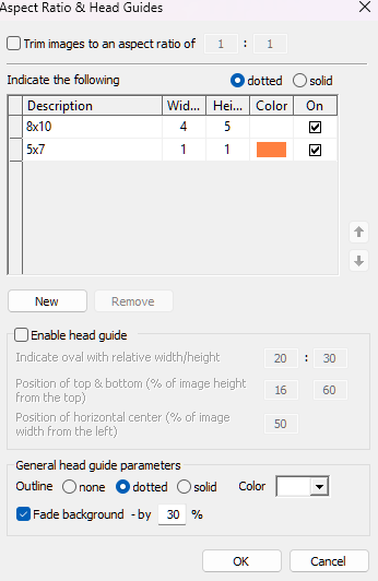 Settings for aspect ratios and head guide parameters in an image editing software.