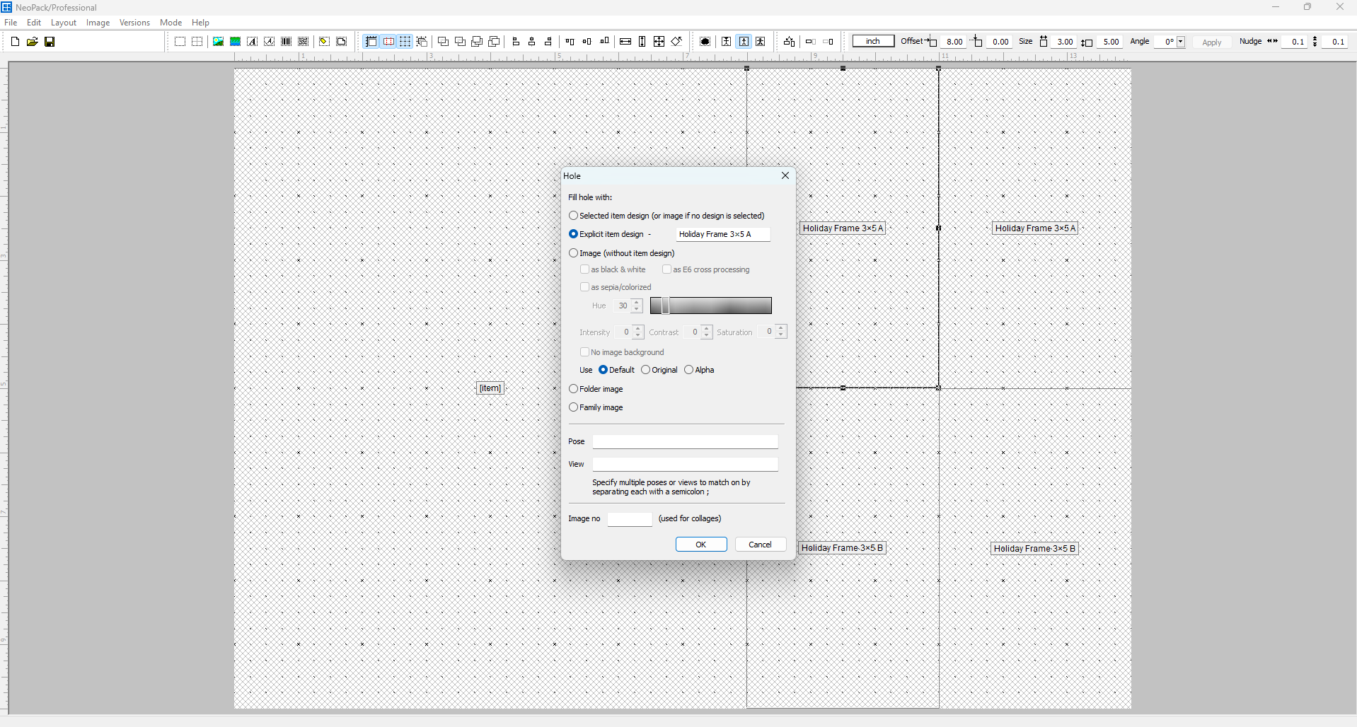 Settings window for filling holes with selected item designs in NeoPack software.