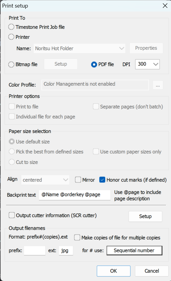 Print setup window displaying options for file format, printer selection, and output settings.