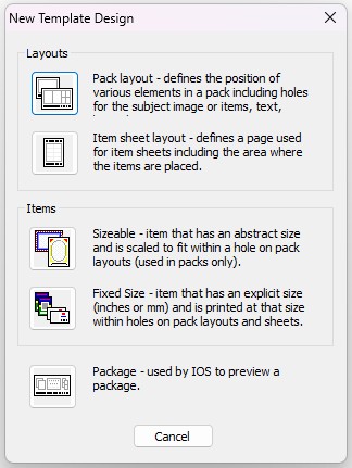 Template design options for layouts and items in a new project interface.