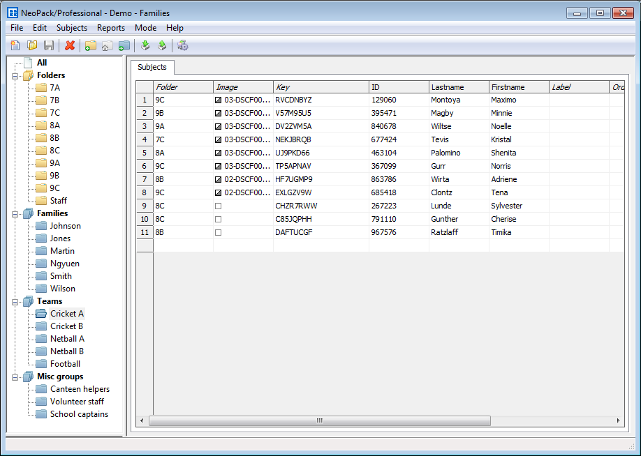 A software interface displaying family and team data in a structured format.