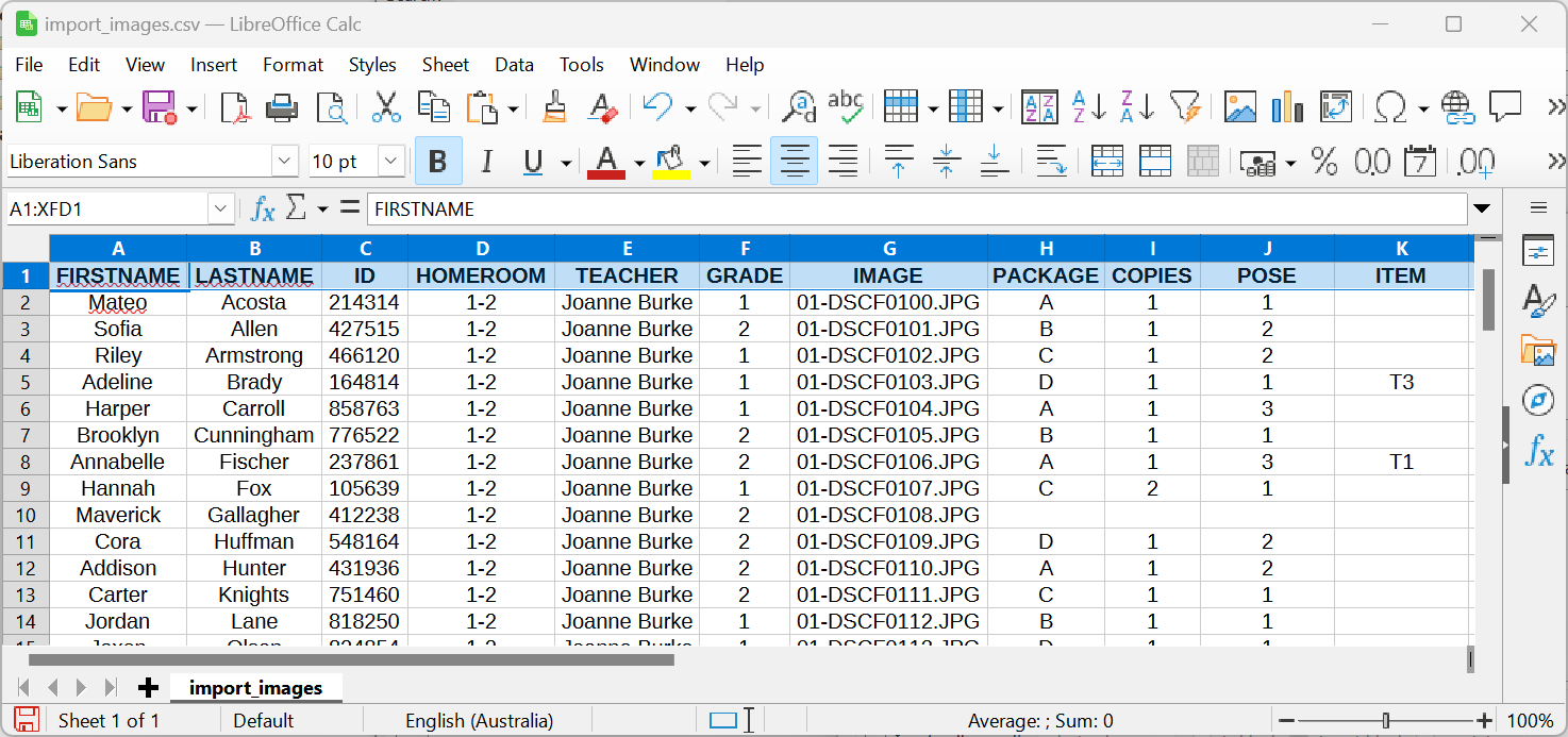 A csv file with pose, copies and items for each package