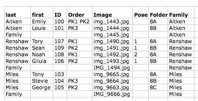 A table displaying family names, IDs, and image file names for various individuals.