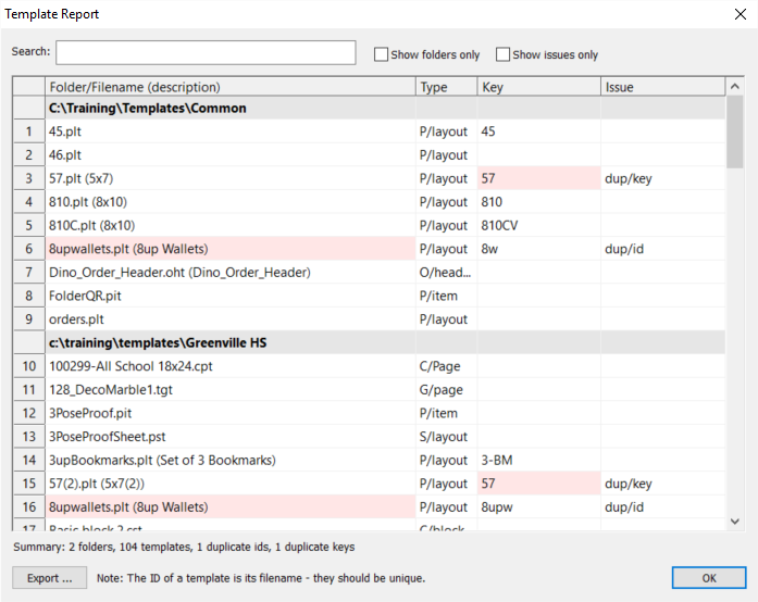 Template report showing folder structure, file types, keys, and duplicate issues.