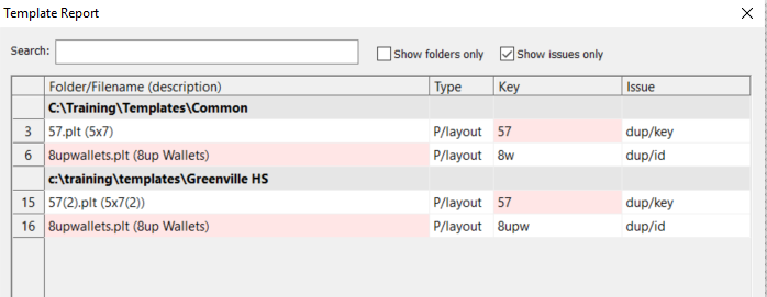 Template report showing duplicate keys and IDs for various layout files.