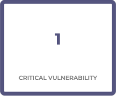 critical_vulnerability_exists_not_evaluated.png