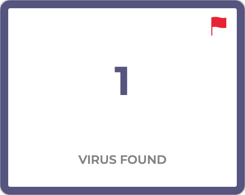 one_virus_found_not_evaluated.png