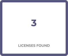 several_licenses_found_ungoverned.png