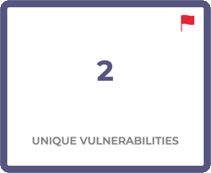 unique_vulnerabilities_warning.png