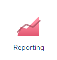 Reporting icon