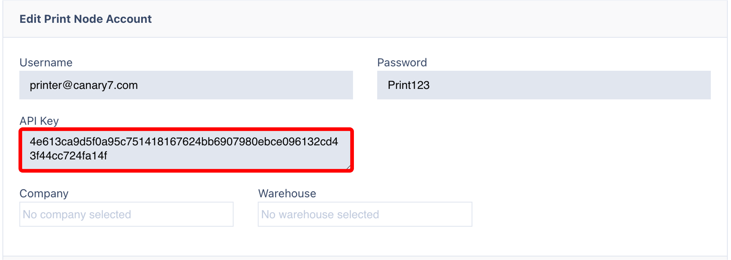 print node api