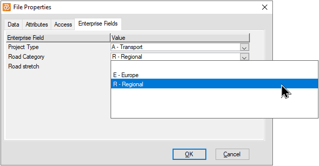 MultiProject File Properties Enterprise Fields