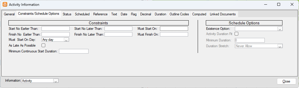 Planner Activity Information Constraints Pane