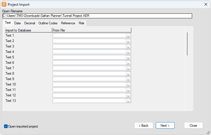 Planner Importing XER Mapping