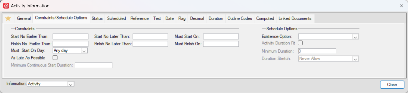 SP Activity Information Panel Constraints Tab