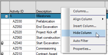 SP%20BE%20Formatting%20Columns%20Area%20Hide%20Column