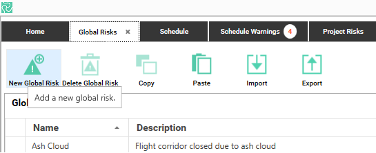 Interface showing options to manage global risks, including adding new risks.