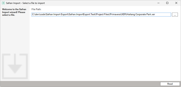 The Safran Risk File import wizard