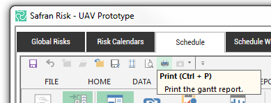 Safran Risk Interface showing the keyboard shortcut