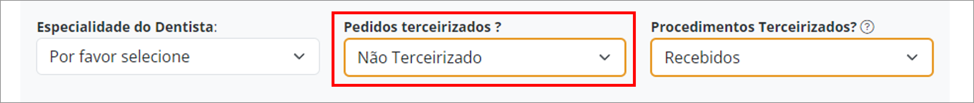 Filtro Não Terceirizado.png