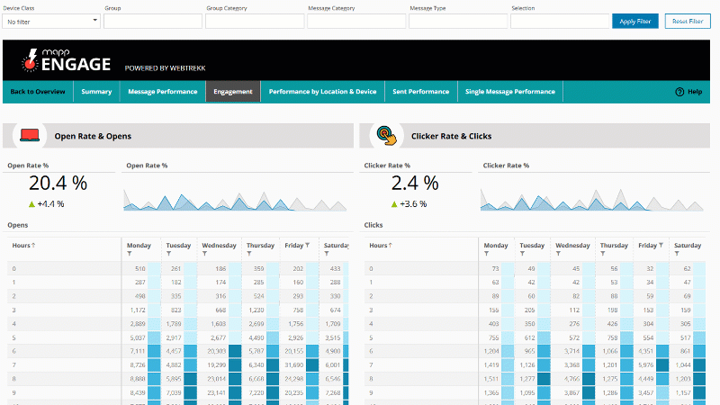 Report Filter (animated)