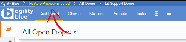 Feature Preview