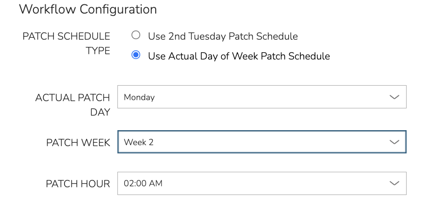A screenshot of a patch schedule  Description automatically generated with medium confidence