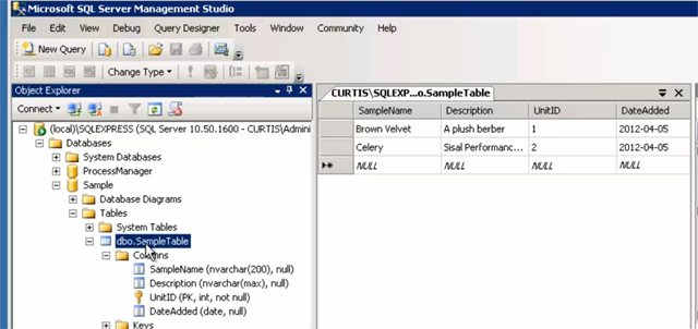 database-integration-through-an-agent-01.-Sample_Database.png