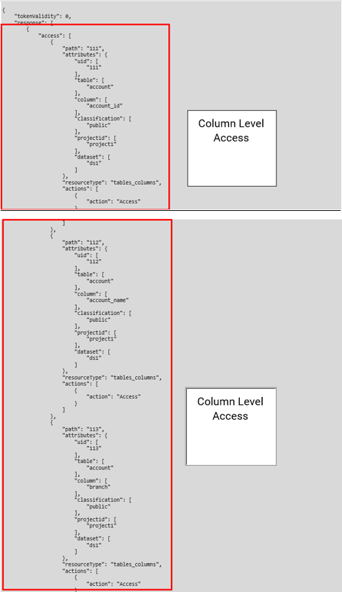 Column Level Access Response