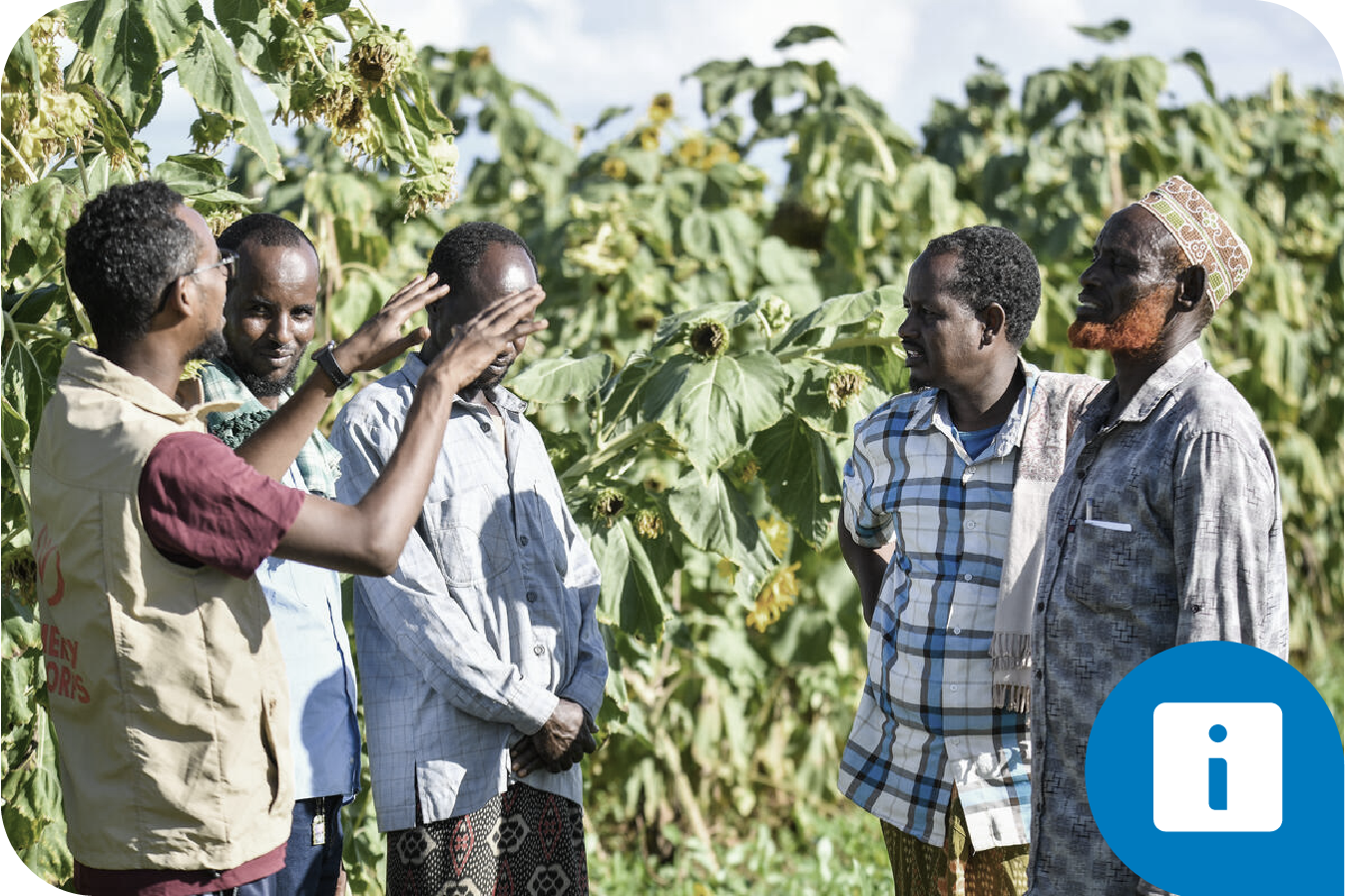 This logo has 1_GeneralFrameworks_2x