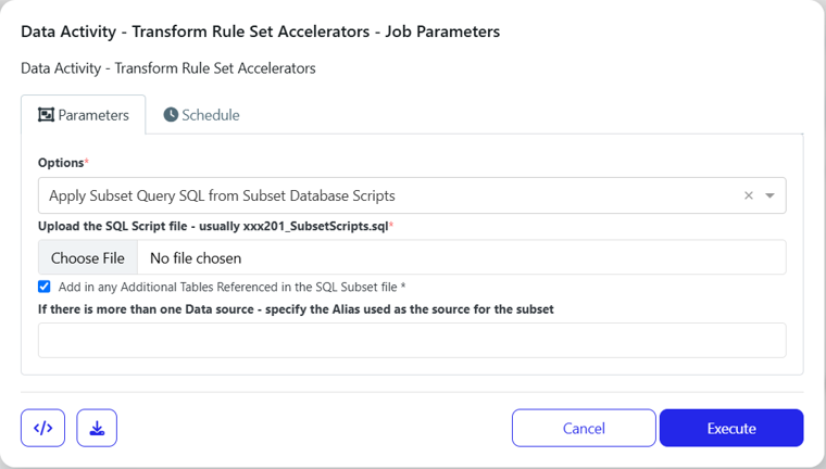 Screenshot of the Data Activity Transform Rule Set Accelerators - Job Parameters form showing Parameters and Schedule tabs, an Options dropdown set to Apply Subset Query SQL from Subset Database Scripts, a Choose File file upload control, and footer action buttons labeled Cancel and Execute.