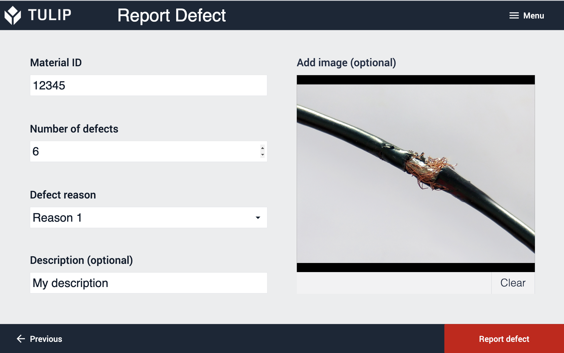 Defect_Report.png