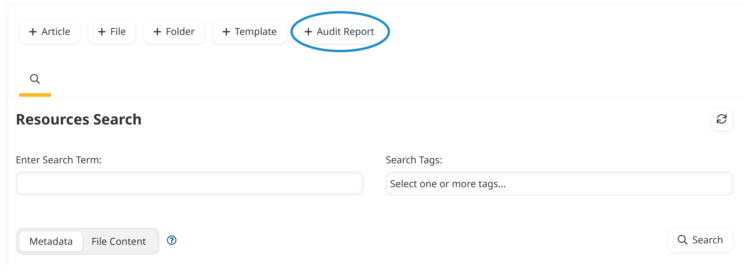Audit Report Button Annotated 20250811.png