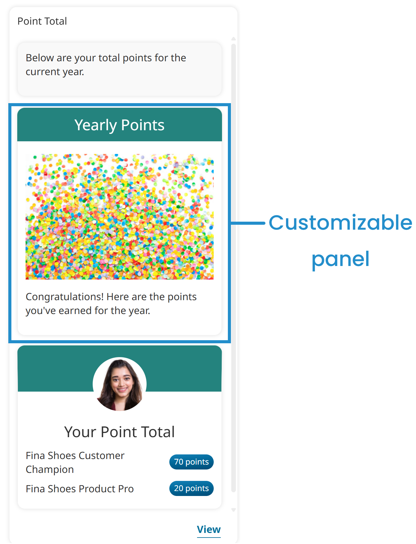 Learner UI - Point Total Widget - Customizable Panel 20260407.png